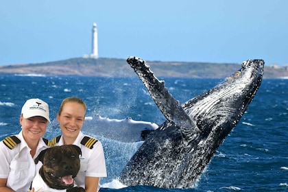 From Augusta: Educational Whale Watching Cruise