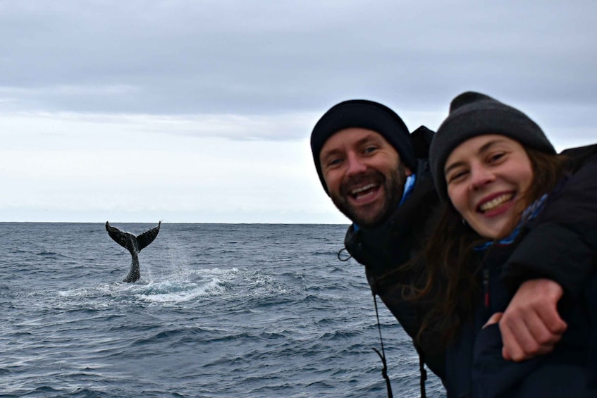 Picture 3 for Activity From Augusta: Educational Whale Watching Cruise