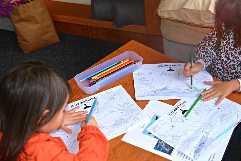 Picture 11 for Activity From Augusta: Educational Whale Watching Cruise