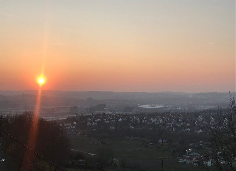 Picture 4 for Activity Stuttgart: Wine Tour with wines of the best winemakers