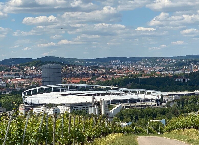 Picture 8 for Activity Stuttgart: Wine Tour with wines of the best winemakers