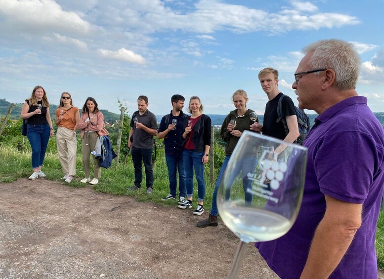 Picture 1 for Activity Stuttgart: Wine Tour with wines of the best winemakers