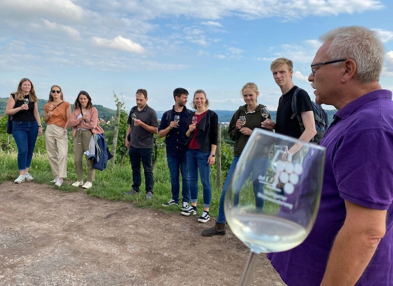 Picture 2 for Activity Stuttgart: Wine Tour with wines of the best winemakers