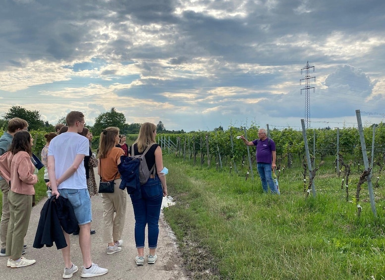 Picture 10 for Activity Stuttgart: Wine Tour with wines of the best winemakers