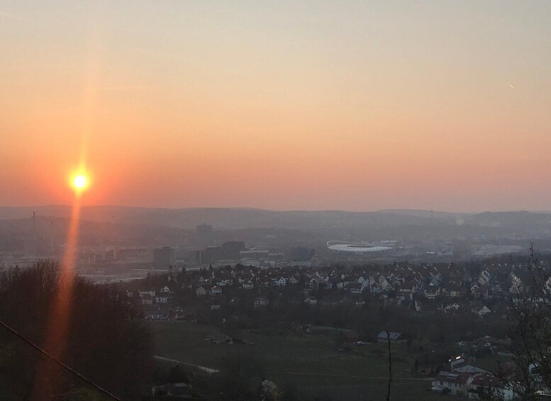 Picture 4 for Activity Stuttgart: Wine Tour with wines of the best winemakers