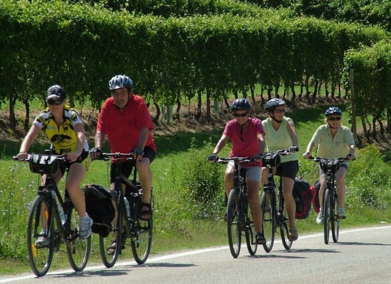 From Turin: 8-Day Cycling Tour in Piedmont