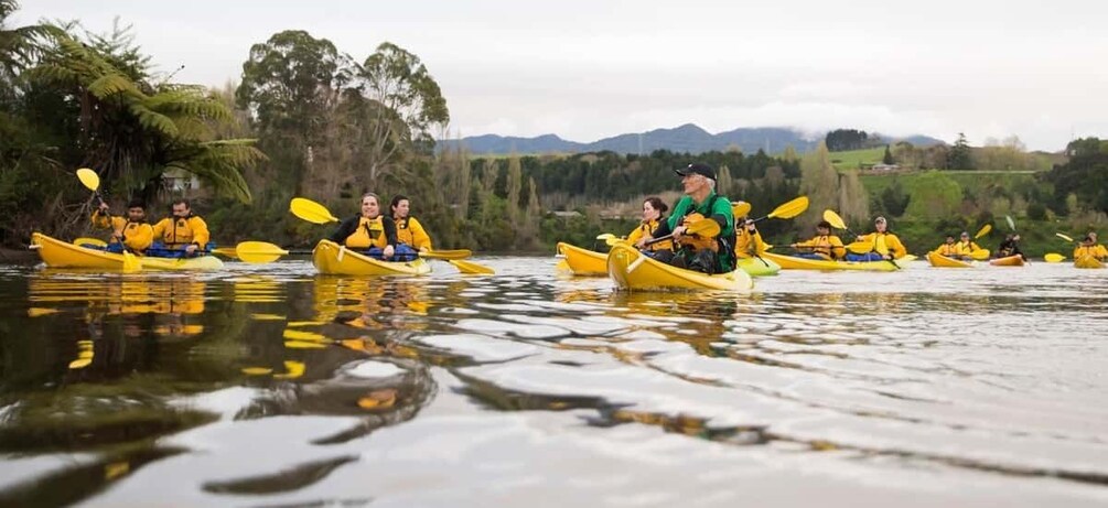 Picture 1 for Activity Lake Karapiro: Evening Kayak Glowworm Tour