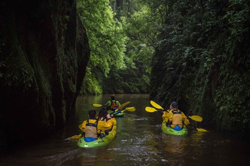 Picture 5 for Activity Lake Karapiro: Evening Kayak Glowworm Tour