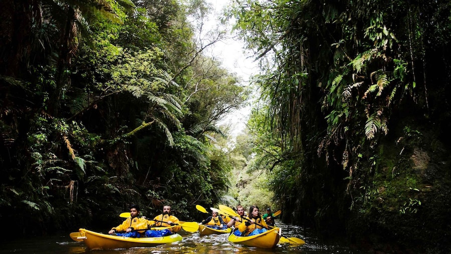 Lake Karapiro: Evening Kayak Glowworm Tour
