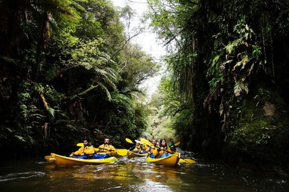 Karapiro-meer: Avond Kajak Glimworm Tour