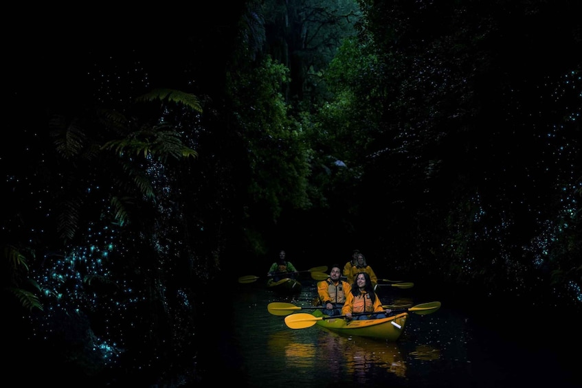 Picture 7 for Activity Lake Karapiro: Evening Kayak Glowworm Tour