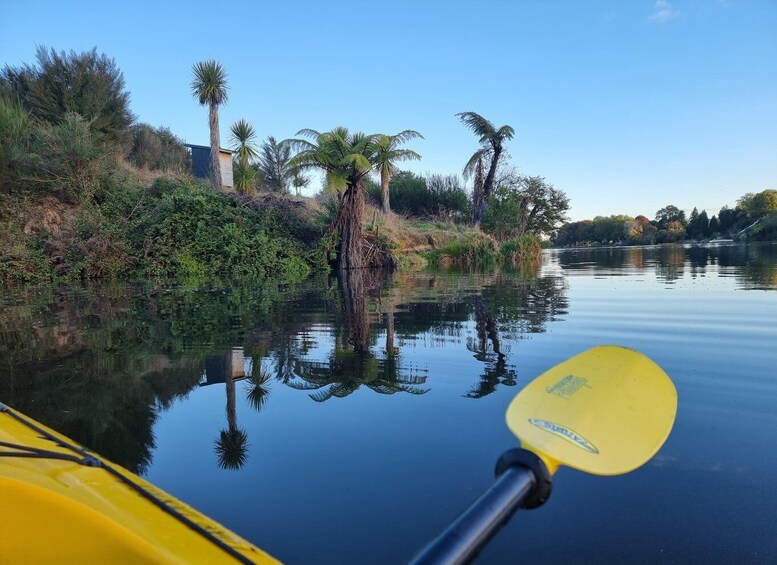 Picture 9 for Activity Lake Karapiro: Evening Kayak Glowworm Tour