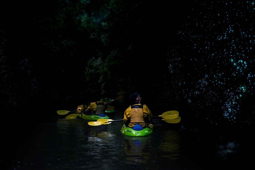 Picture 8 for Activity Lake Karapiro: Evening Kayak Glowworm Tour