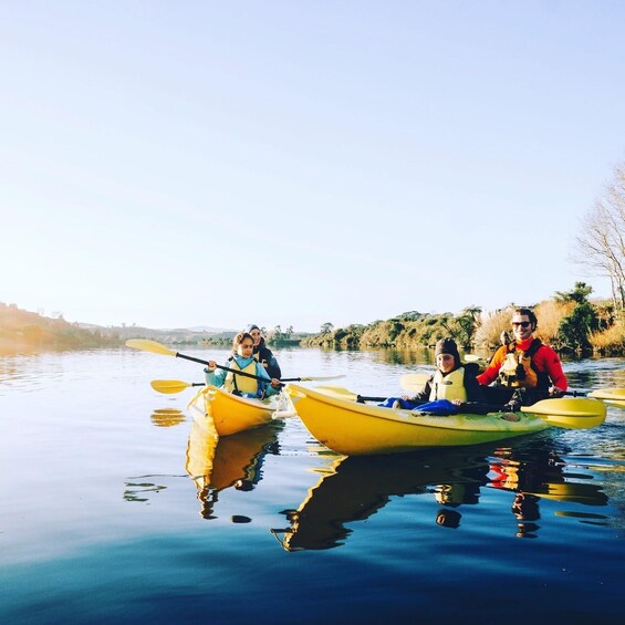 Picture 8 for Activity Lake Karapiro: Evening Kayak Glowworm Tour