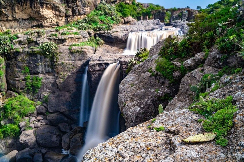 Picture 12 for Activity Addis Ababa: Debre Libanos, Blue Nile Gorge, and Cave Tour