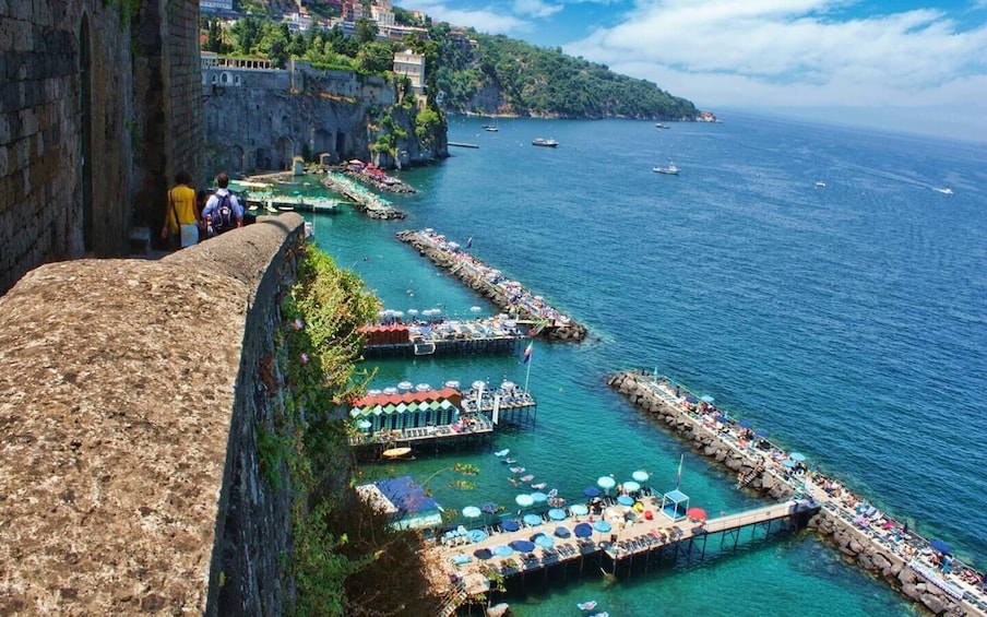 Picture 1 for Activity Pompeii and Sorrento Wheelchair Accessible Private Tour