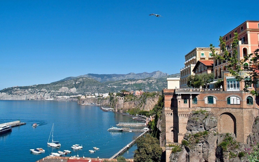 Picture 3 for Activity Pompeii and Sorrento Wheelchair Accessible Private Tour