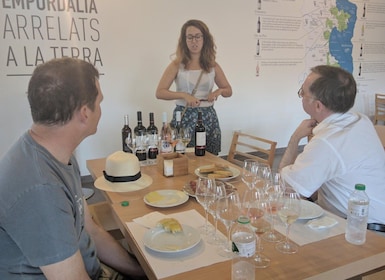 Girona: Lokale wijngaarden tour met ontbijt en wijnproeverij