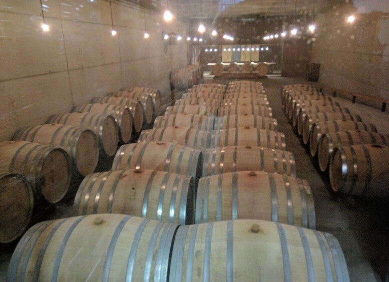 Picture 5 for Activity Girona: Local Wineries Tour with Breakfast and Wine Tasting