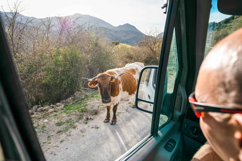 Picture 10 for Activity From Granada: Sierra Nevada 4WD Safari Tour