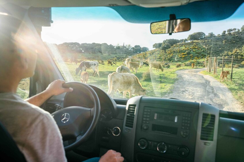 Picture 4 for Activity From Granada: Sierra Nevada Guided 4x4 Tour to 2500 Meters