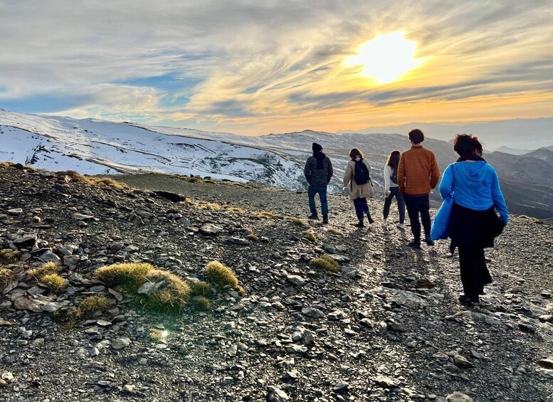 Picture 10 for Activity From Granada: Sierra Nevada Safari Tour to 2500 Meters