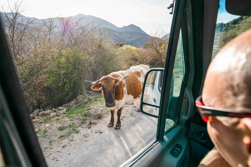 Picture 3 for Activity From Granada: Sierra Nevada Guided 4x4 Tour to 2500 Meters