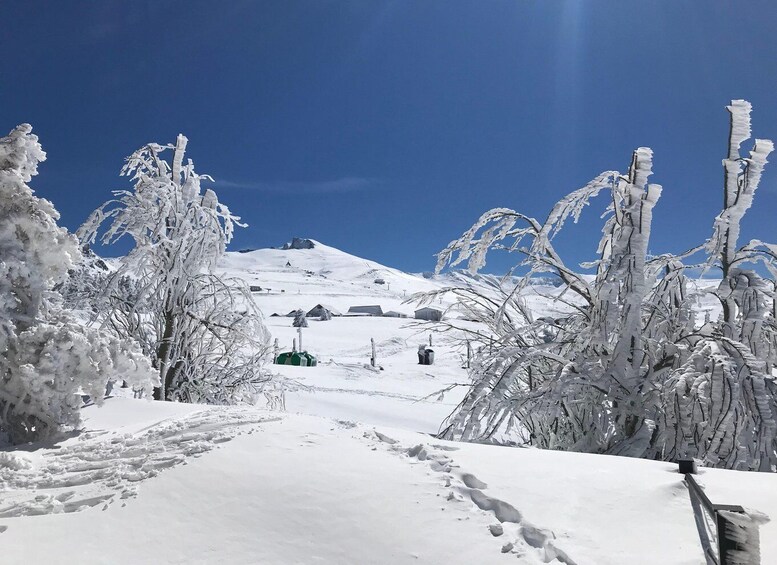 Picture 1 for Activity From Granada: Sierra Nevada Safari Tour to 2500 Meters