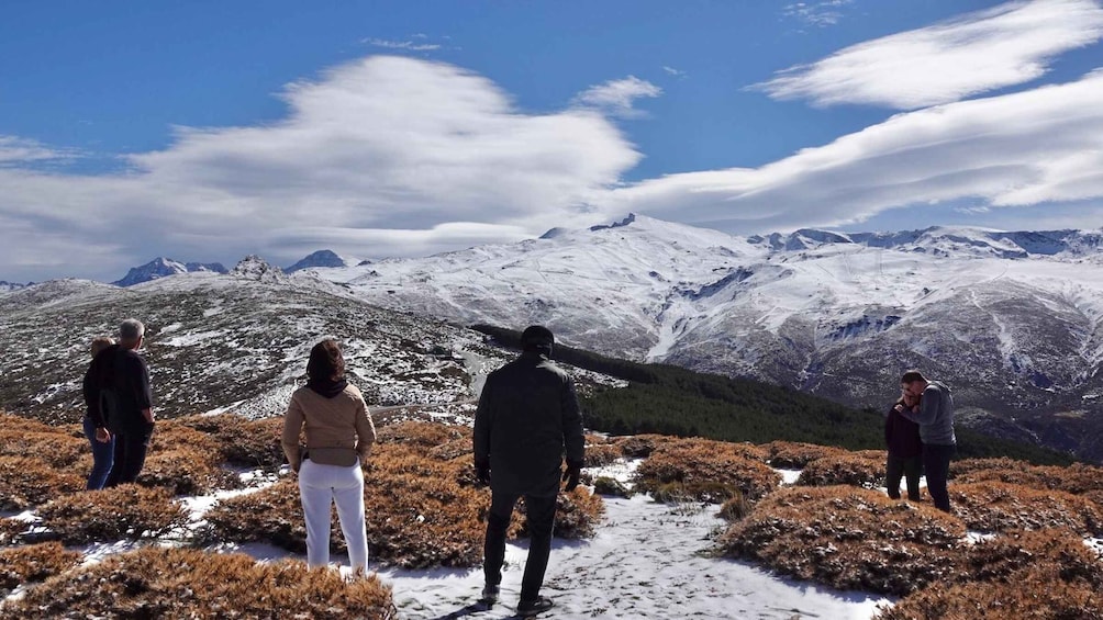 Picture 9 for Activity From Granada: Sierra Nevada Safari Tour to 2500 Meters