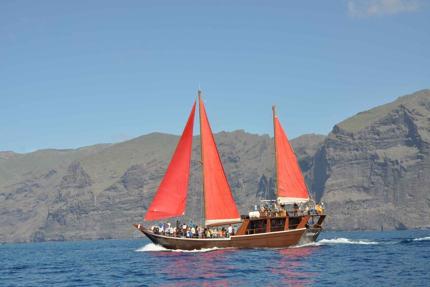 Picture 5 for Activity Tenerife: 5-Hour Whales and Dolphins Tour