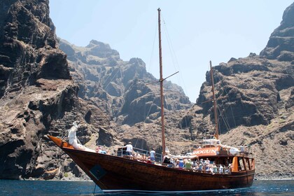 Tenerife : Excursion de 5 heures à la rencontre des baleines et des dauphin...