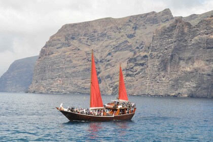 Teneriffa: 5-stündige Tour zu Walen und Delfinen