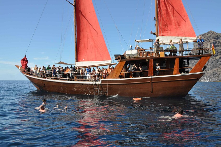 Picture 2 for Activity Tenerife: 5-Hour Whales and Dolphins Tour