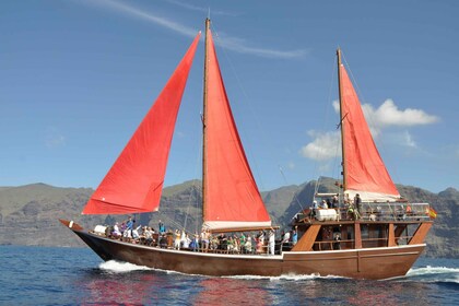 Teneriffa: 5-stündige Tour zu Walen und Delfinen