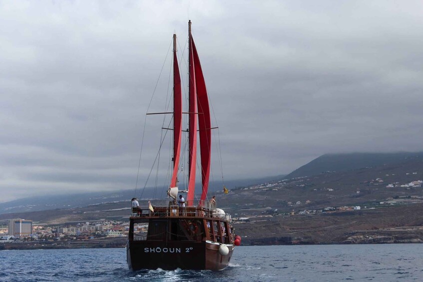 Picture 9 for Activity Tenerife: 5-Hour Whales and Dolphins Tour