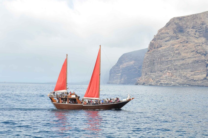 Picture 4 for Activity Tenerife: 5-Hour Whales and Dolphins Tour