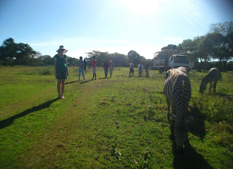 Picture 4 for Activity Coron: Calauit Safari Adventure