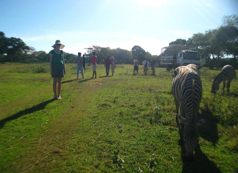 Picture 4 for Activity Coron: Calauit Safari Adventure