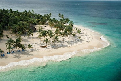 Desde Punta Cana: Excursión de día completo a Samaná en autobús y barco