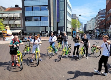 Haag: Guidad sightseeingtur med cykel
