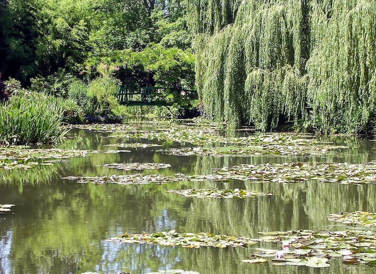Picture 6 for Activity Giverny: Monet's House and Gardens Guided Tour