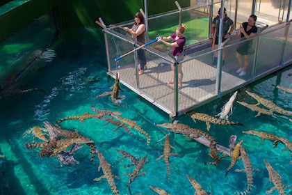 Crocosaurus Cove General Admission Ticket