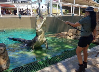 Crocosaurus Cove General Admission Ticket