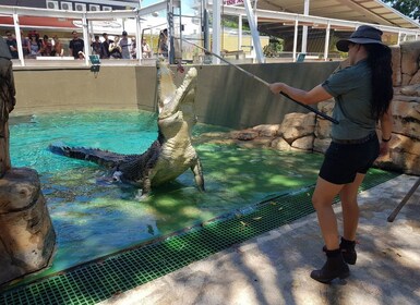 Billet d'entrée générale pour Crocosaurus Cove