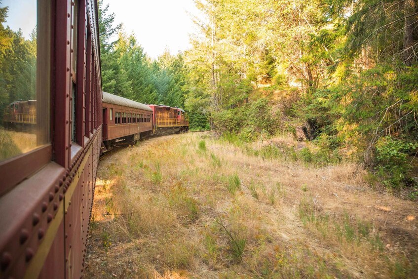 Picture 2 for Activity Mendocino County: Skunk Train Wolf Tree Turn Train Ride