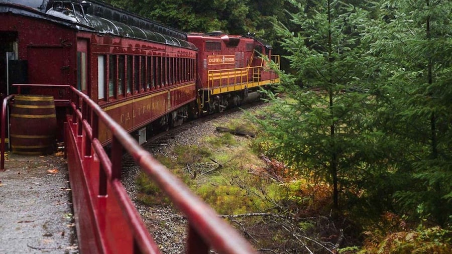 Mendocino County: Skunk Train Wolf Tree Turn Train Ride