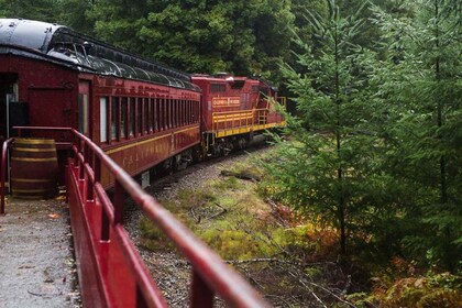 Mendocino County: Skunk Train Wolf Tree Turn Train Ride