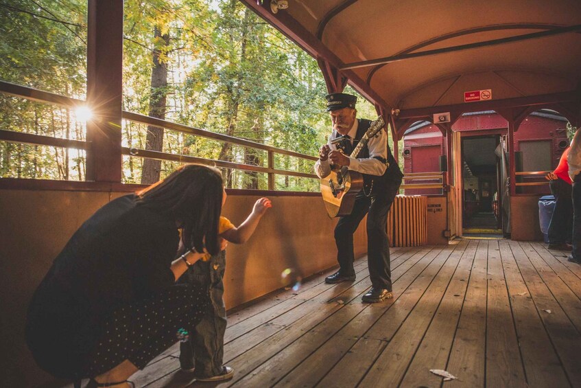 Picture 1 for Activity Mendocino County: Skunk Train Wolf Tree Turn Train Ride