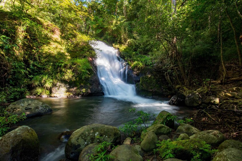 Picture 7 for Activity Guachipelin: One Day Waterfalls Expedition and Buffet Lunch