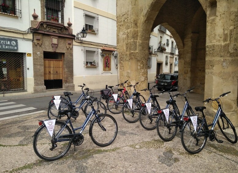 Picture 4 for Activity Córdoba Daily Highlights Bike Tour